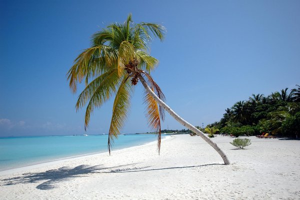 Circuits touristiques gastronomiques : à la découverte des saveurs du monde